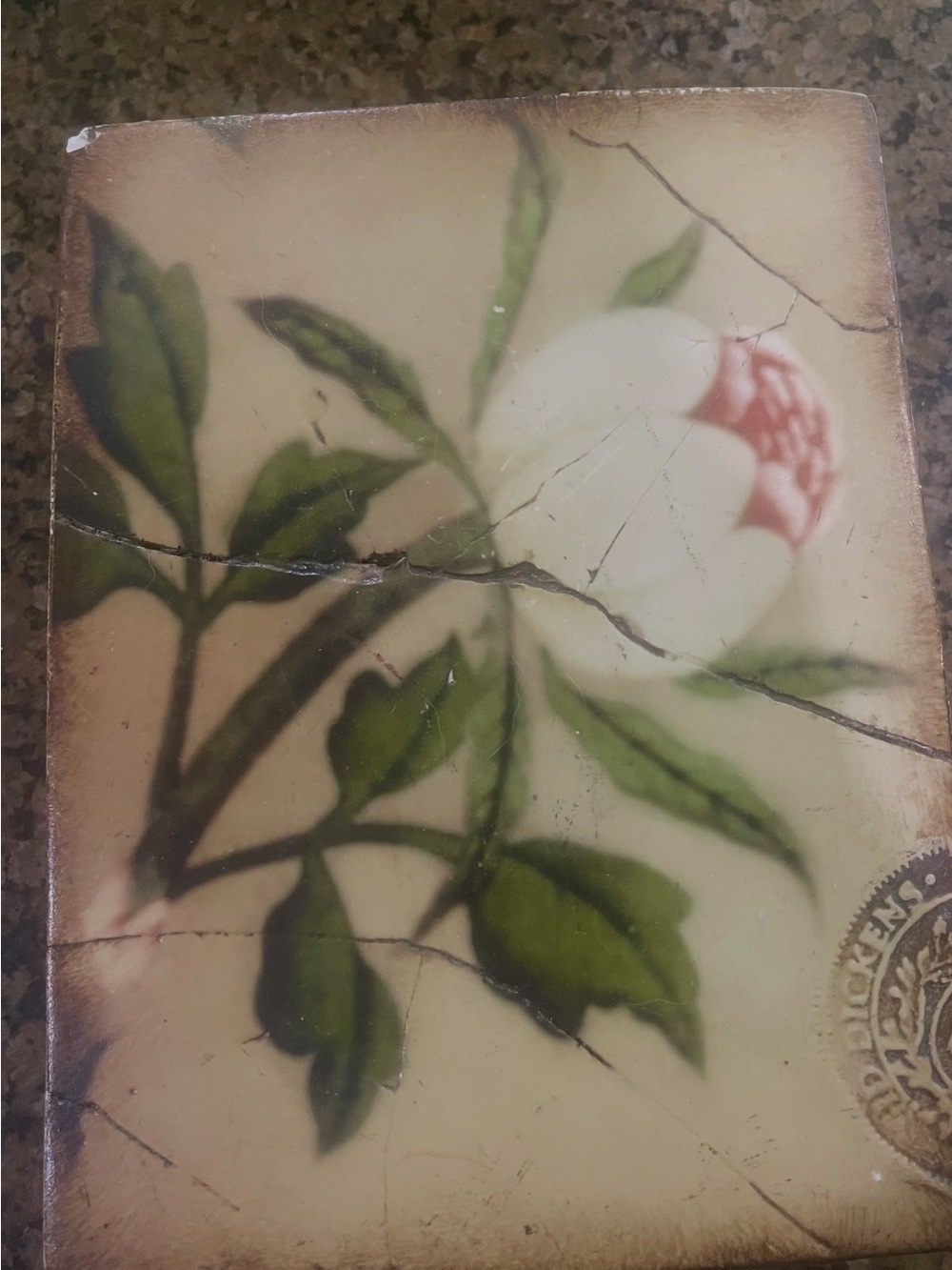 Sid Dickens Peony .. Floral Plaque in Green, Cream, White, Pink.. T116